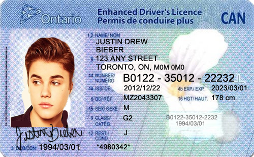 American Drivers License In Canada